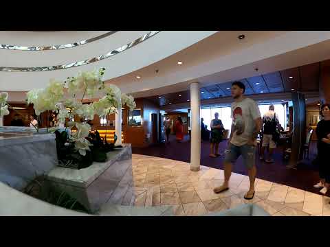 Видео: Круиз Мано Сапанут, июль 2024. Хайфа - Родос - Санторини. Зал гостевых и экскурсионных услуг