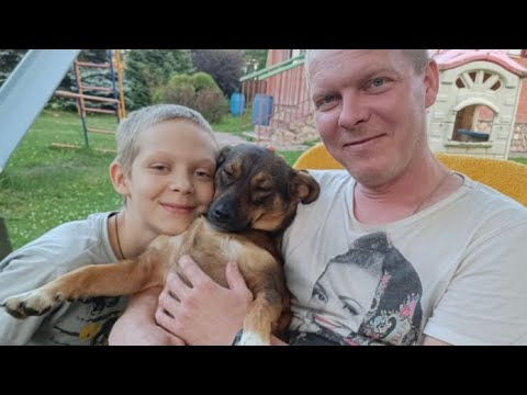 Видео: Приветы от счастливых собак.Greetings from happy dogs.