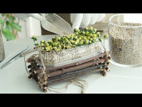 Видео: Подставка для веток Посадочное растение, подвесное растение, план-терьер, пластиковый ящик