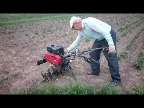 Видео: WEIMA WM900M-3 культиватор
