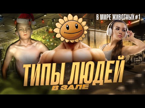 Видео: ТИПЫ ЛЮДЕЙ В ЗАЛЕ (В мире животных №1)
