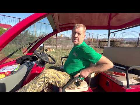 Видео: Львица Герда ЧУВСТВОВАЛА ЧТО УЙДЁТ!