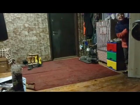 Видео: Вечерние прятки! | День 15 | #2