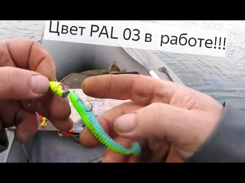Видео: Силиконовая приманка-ЦВЕТ PAL 03 в дребезги!!!