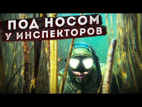 Видео: НЫРЯЕМ В ЗАПОВЕДНИКЕ! ОЗЕРО ИТКОЛЬ, ХАКАСИЯ!