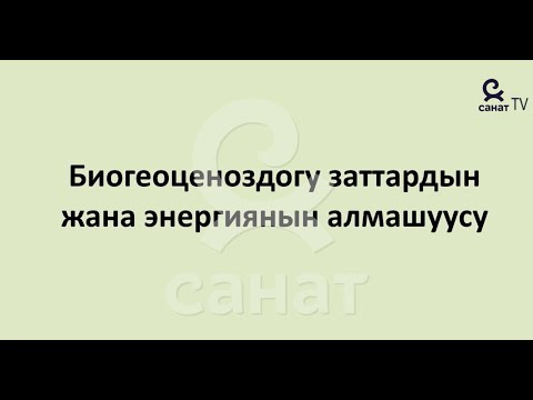 Видео: Биология 9 класс 52 сабак