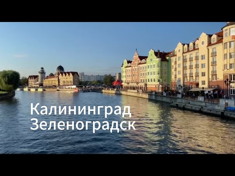 Видео: КАЛИНИНГРАД ЗА 3 ДНЯ. ЗЕЛЕНОГРАДСК ВОЛШЕБНЫЙ ГОРД #калининград #зеленоградск #балтийскоеморе 