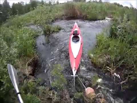 Видео: Сплав по реке Созь от истока до устья