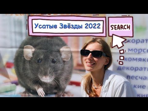 Видео: Выставка Усатые Звёзды 2022