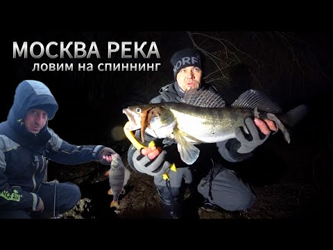 Видео: МОСКВА РЕКА - рыбалка на #воблер. Зимний спиннинг в декабре #судак #щука #окунь
