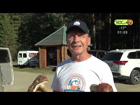 Видео: Окончание эфира (НСК 49, 08.02.2023)