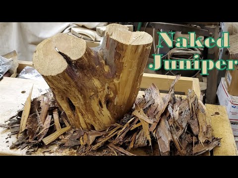 Видео: Чаша из голого можжевельника! — Точение по дереву