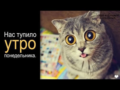 Видео: Утренний Калибр , дубль 2