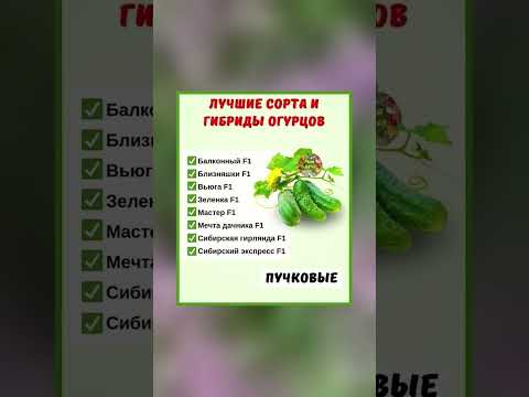 Видео: Топ лучших гибридов огурцов для вашего урожая