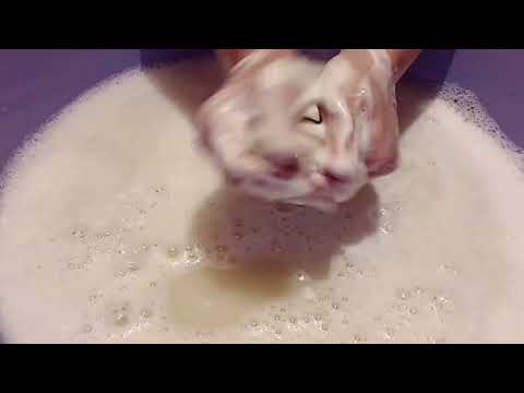 Видео: слегка размокшие хозики