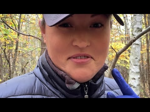 Видео: Собираем грибы в лесу с мужем и ещё кто то ….