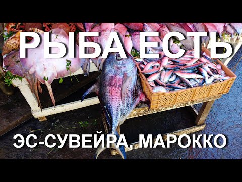 Видео: Эс-Сувейра САМЫЙ РЫБНЫЙ ГОРОД Марокко!