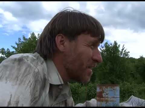 Видео: Зеленый сад фильм № 5 "Виноград" от 2008г.  г.Хабаровск (zeleniisad.ru)