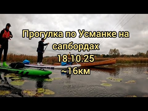 Видео: Прогулка на сапбордах по Усманке 18.10.25 ~16км #сапборд
