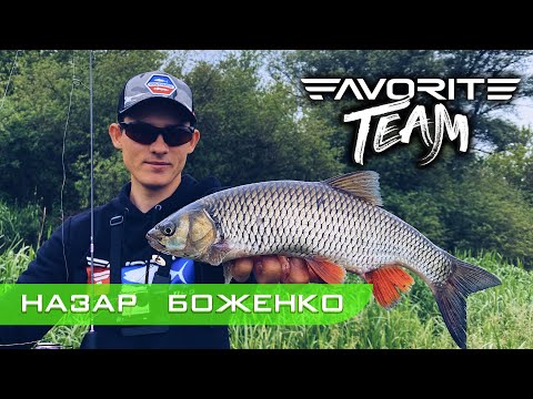 Видео: Можно ли на малой реке поймать КРУПНОГО ГОЛАВЛЯ на спиннинг? Favorite Team