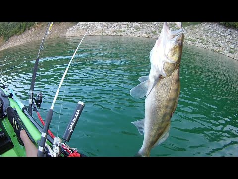 Видео: Тролинг на бяла риба с каяк   Trolling Walleye