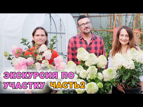 Видео: Шоколадный огород 🍫🍫 Экскурсия по участку. Часть 2