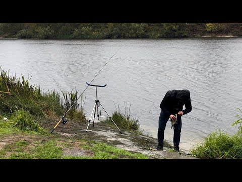 Видео: Рибалочка на Десні в осінній 🌧️ дощ🐟 Жовтень 2024!  Пухівка. Фідер на іншій локації. 🎣