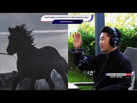 Видео: ВЬЕТНАМААС ЭХ ОРОН РУУГАА ГҮЙСЭН МОНГОЛ АДУУ | Дээлтэй аялал | Ep.02