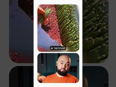 Видео: Как из обрезков роз вырастить целый сад!