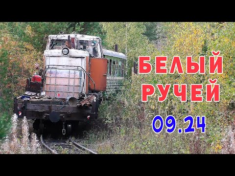 Видео: Белый ручей 2024 г. Путешествие по узкоколейке. Любительский фильм Сергея Костыгова