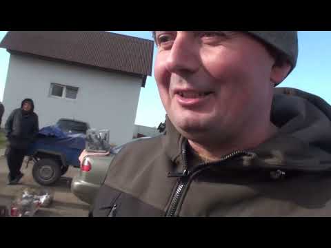 Видео: Голуби з Балти