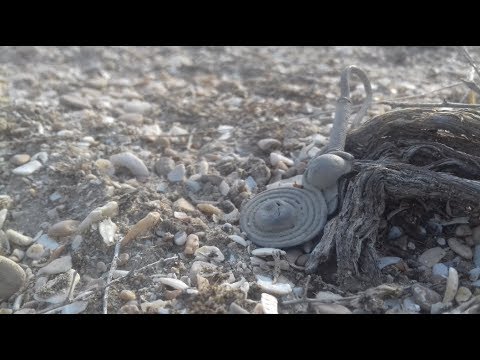 Видео: Смотрим что можно найти на старых фундаментах! Поиск в степях Казахстана!