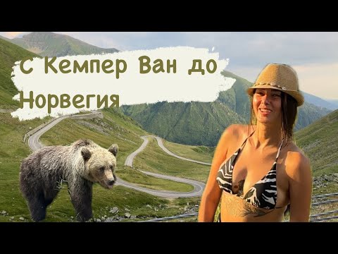 Видео: Мечки на пътя | С Кемпер Ван до Норвегия еп.1