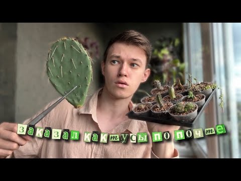 Видео: Распаковка новых растений🌵🏜️