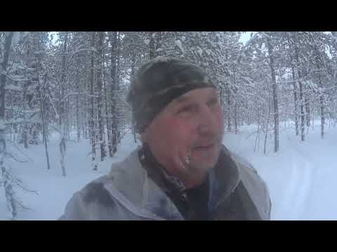 Видео: проверка путика ,удача по кунице в ящиках,еле дошёл до машины.