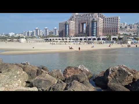 Видео: 10 ноября 2025 г.