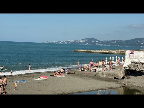 Видео: Утро в Сочи / Адлер / Пляж 🏝️ Чайка / Огонёк 