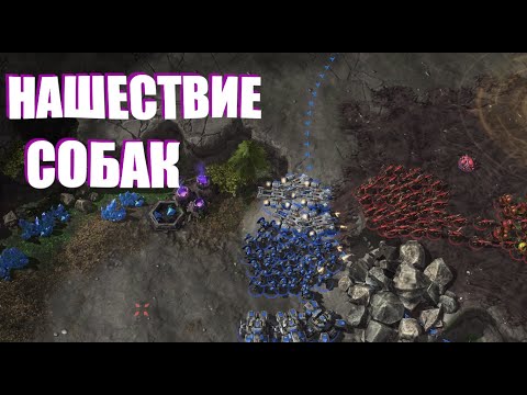 Видео: Starcraft 2 с комментами. Фотонки, аллыны, марико-танки против зерга