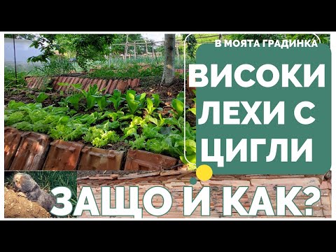 Видео: Потоянни лехи с цигли, сляпо куче - преграда, повдигнати топли лехи. Как редя керемидите.