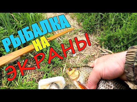 Видео: МОЙ УЛОВ НА НОВОМ МЕСТЕ!!! Крупная плотва на экраны.