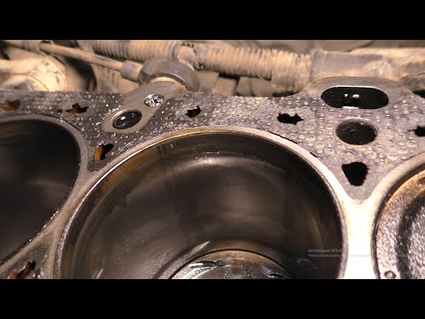 Видео: Двигатель Киа Спектра стучит и ест масло.