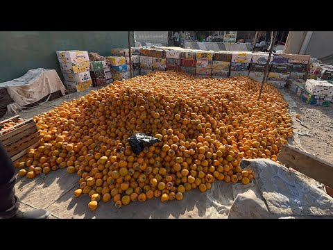 Видео: 14 НОЯБР ТУРТКУЛ ДЕХКОН БОЗОР НАРХЛАРИ