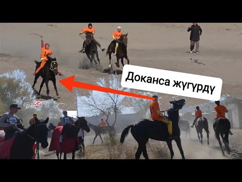 Видео: Мына Кунан чабыш🔥🔥🔥 Бишкек/ Аккула ат майданы(15-10-22)