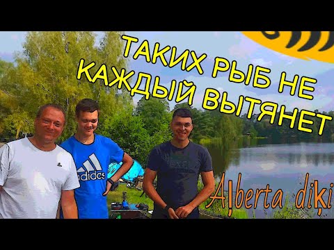 Видео: Клюют нереальные гиганты / Milzīgas zivis uz Alberta Dīķi / Giant fish in Latvia