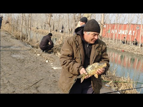 Видео: Каналимиз азолари учун Янги йил совгаси