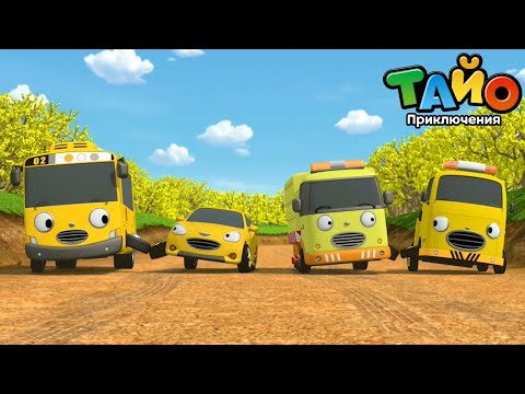 Видео: мультфильм для детей l Тайо лучшие эпизоды l Вместе веселее l Непослушные