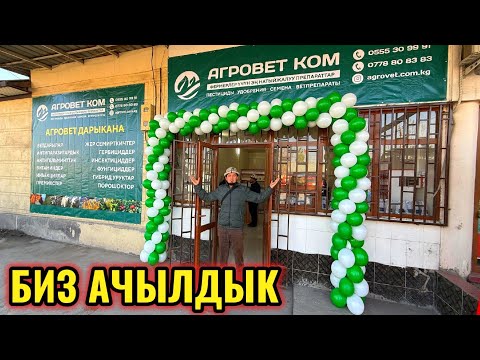 Видео: ӨЗГӨНДӨ ЧОҢ ЖАҢЫЛЫК ЖАРЫЯ ЖАРЫЯ 🤯 #байтв 