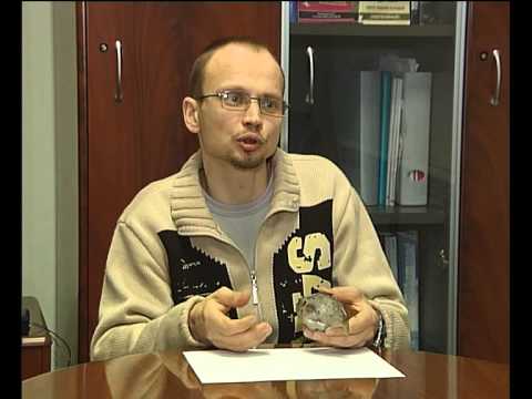 Видео: Рыбак рыбаку 251 "Таксидермия рыб"