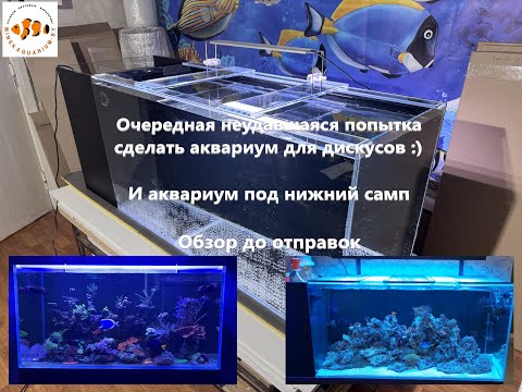 Видео: Опять не удалось с дискусами. Морские аквариумы Андрея и Алексея