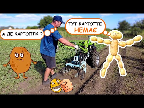 Видео: А де картопля ???